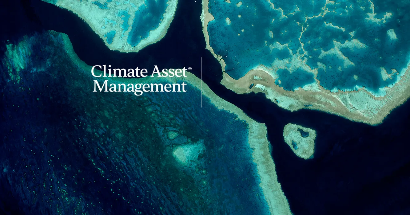 Cover for How Climate Asset Management Reduced Microsoft Licensing Costs by 10 – 15%