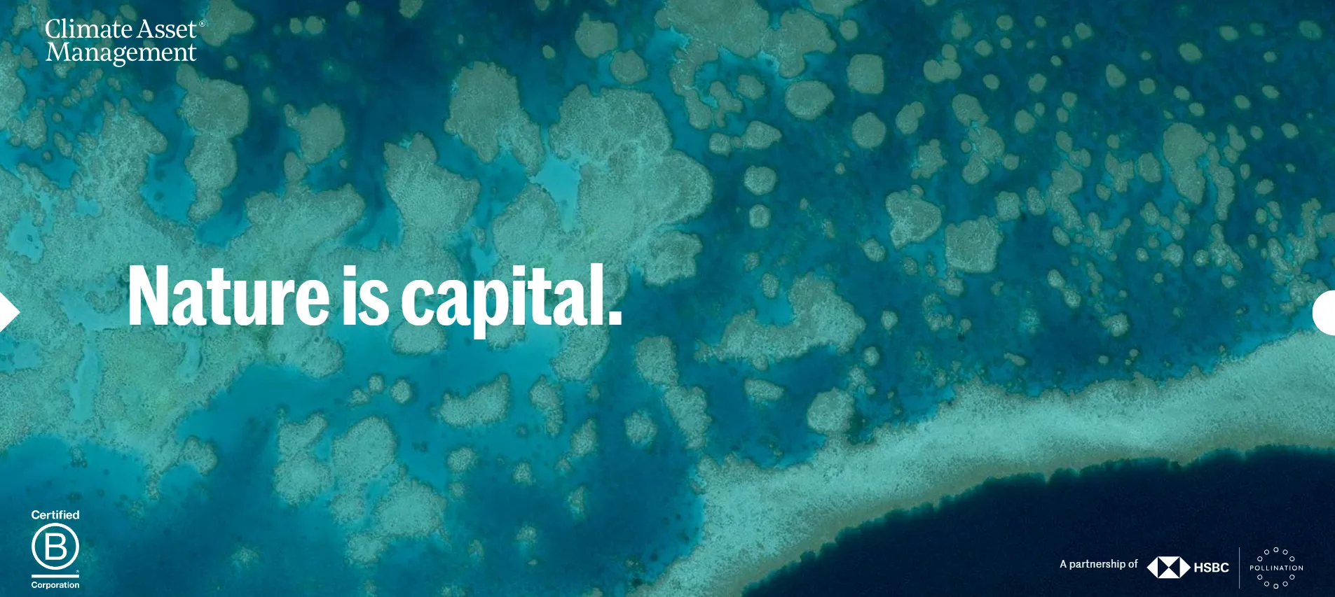 Cover for How Climate Asset Management Reduced Microsoft Licensing Costs by 10 – 15%